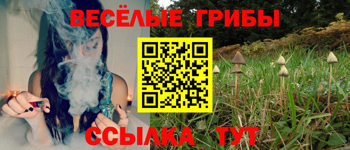 Псилоцибиновые грибы мухоморы  Псилоцибиновые грибы мухоморы  продажа наркотиков  Барабинск  Вход с VPN 
