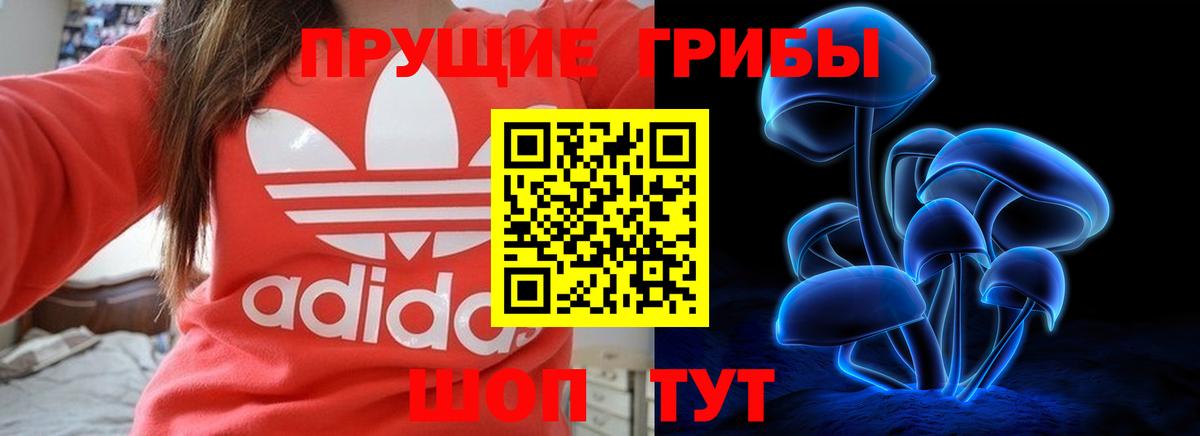 Псилоцибиновые грибы Cubensis Барабинск